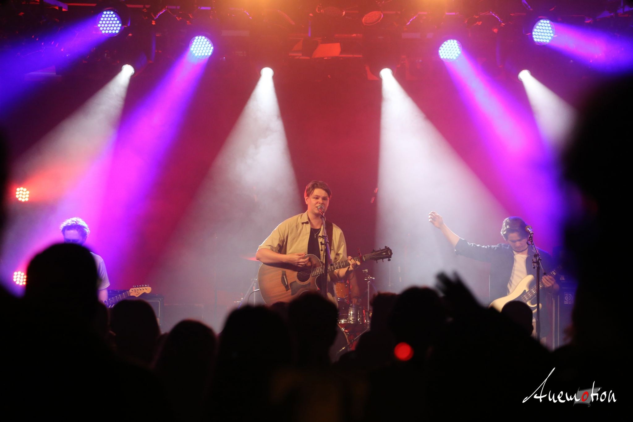 ElephantsFalling (37)